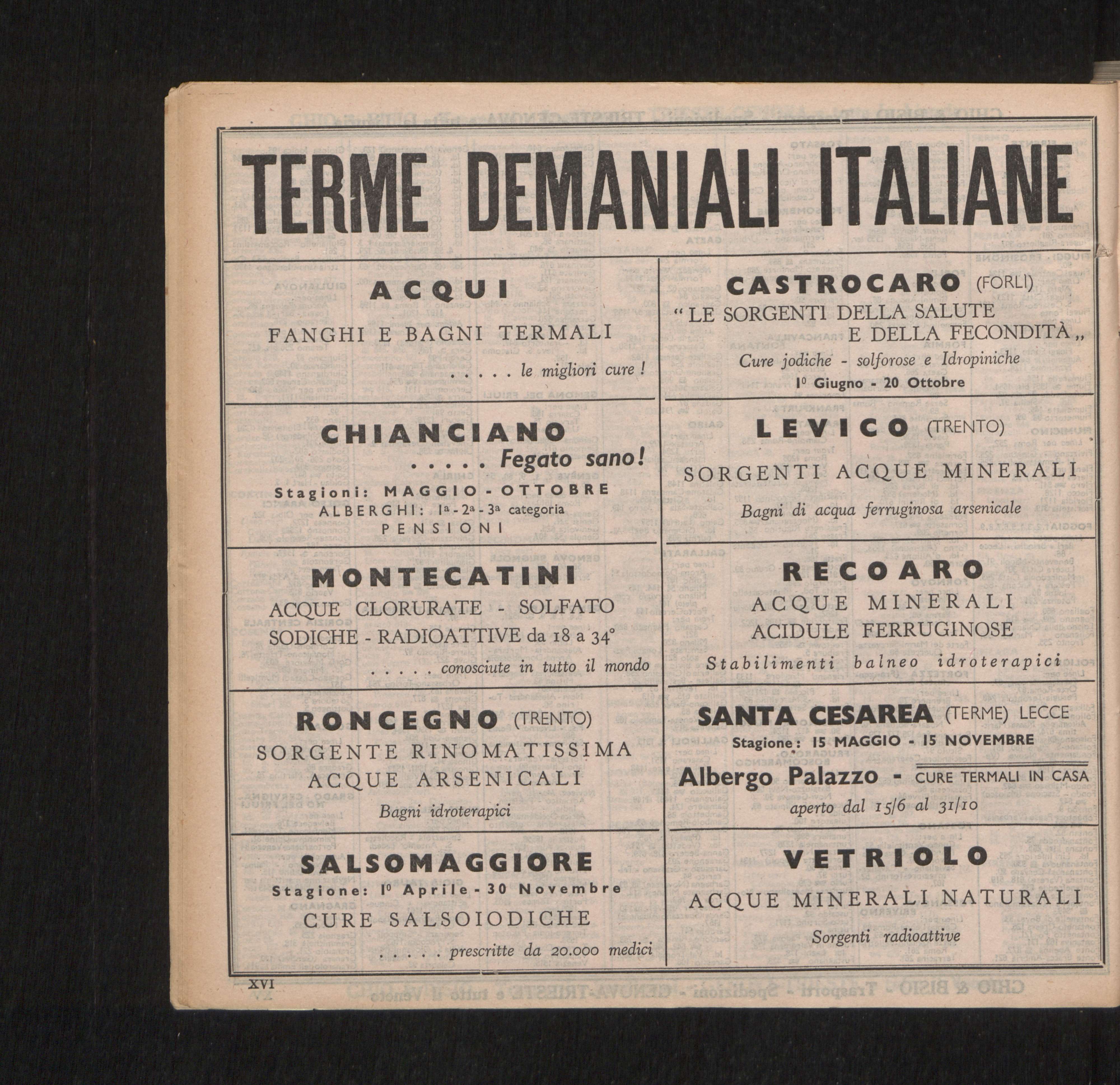 Vedi Dettaglio