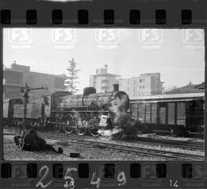 NEG_CDM_2549.tif