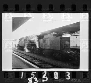 NEG_CDM_1533.tif