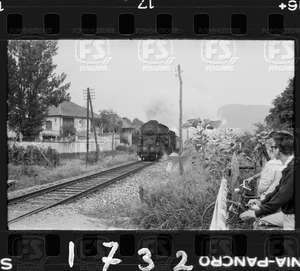 NEG_CDM_1732.tif