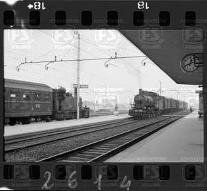 NEG_CDM_2614.tif