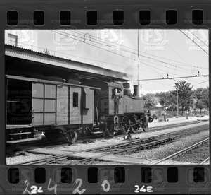 NEG_CDM_2420.tif