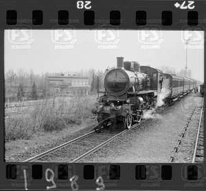 NEG_CDM_1989.tif