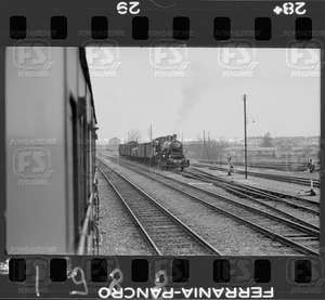 NEG_CDM_1988.tif