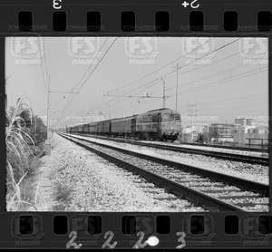 NEG_CDM_2223.tif