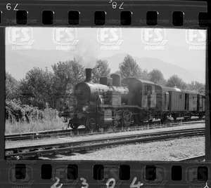 NEG_CDM_2304.tif