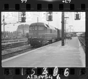 NEG_CDM_1546.tif