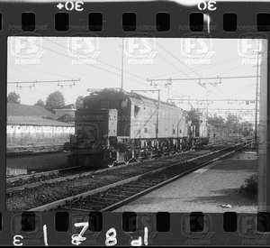 NEG_CDM_1781.tif