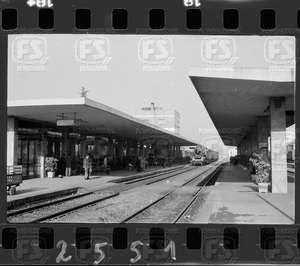 NEG_CDM_2551.tif