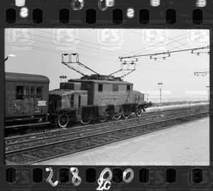 NEG_CDM_2800.tif