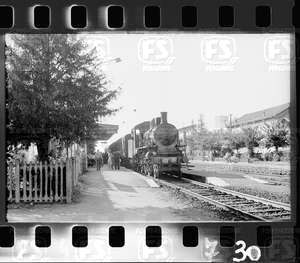 NEG_CDM_2473.tif