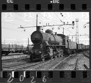 NEG_CDM_2026.tif