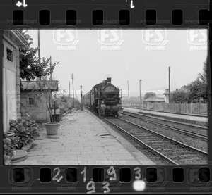 NEG_CDM_2193.tif