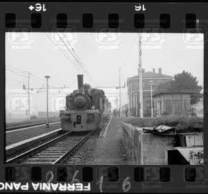 NEG_CDM_2616.tif