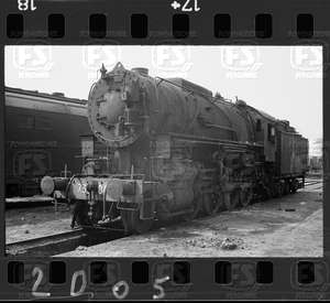 NEG_CDM_2005.tif