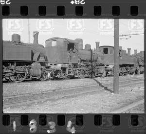 NEG_CDM_1834.tif