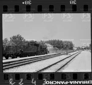 NEG_CDM_2243.tif