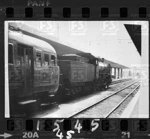 NEG_CDM_1545.tif