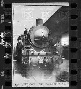 NEG_CDM_1544.tif