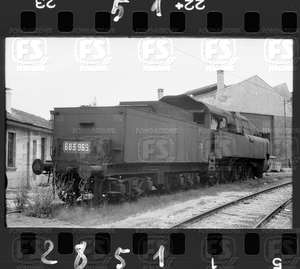 NEG_CDM_2851.tif