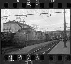 NEG_CDM_2923.tif