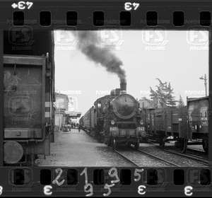 NEG_CDM_2195.tif