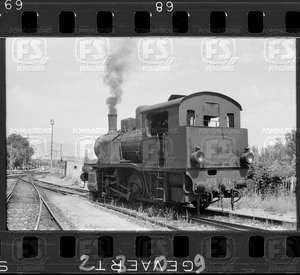 NEG_CDM_2309.tif