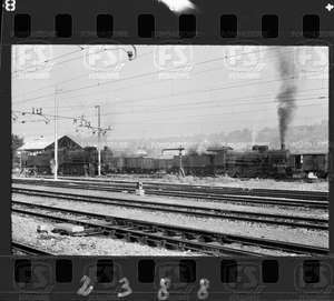 NEG_CDM_2388.tif