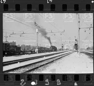 NEG_CDM_2399.tif