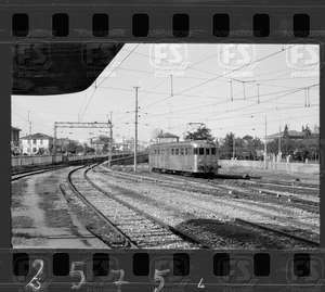 NEG_CDM_2575.tif