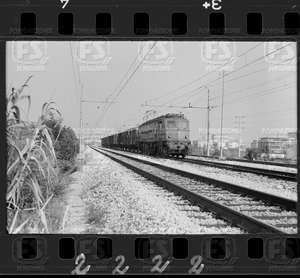 NEG_CDM_2222.tif