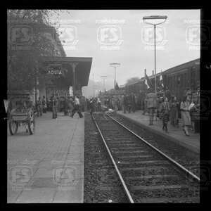 NEG_29128N_53241V.tif