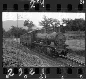 NEG_CDM_2921.tif