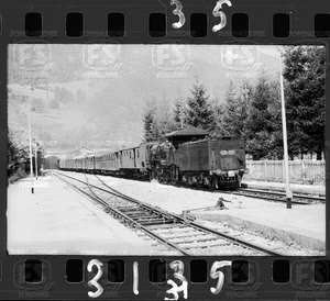 NEG_CDM_3135.tif