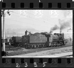 NEG_CDM_2395.tif