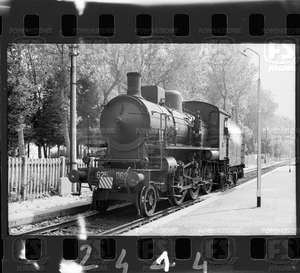 NEG_CDM_2444.tif