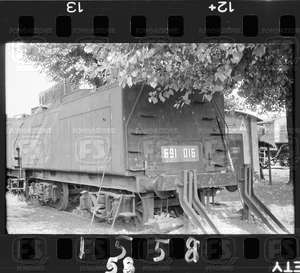 NEG_CDM_1558.tif