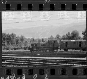 NEG_CDM_2302.tif