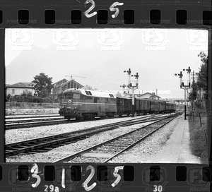 NEG_CDM_3125.tif