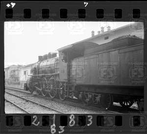 NEG_CDM_2183.tif