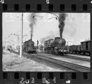 NEG_CDM_2391.tif