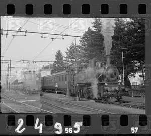 NEG_CDM_2495.tif