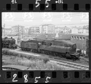 NEG_CDM_2855.tif