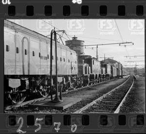 NEG_CDM_2570.tif