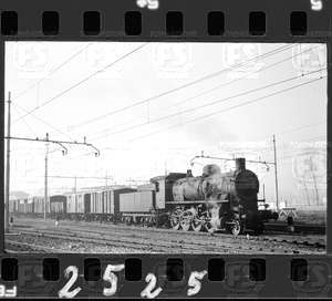 NEG_CDM_2525.tif