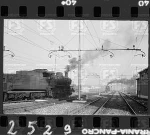 NEG_CDM_2529.tif