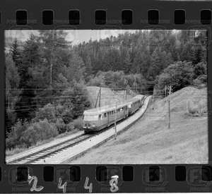 NEG_CDM_2448.tif