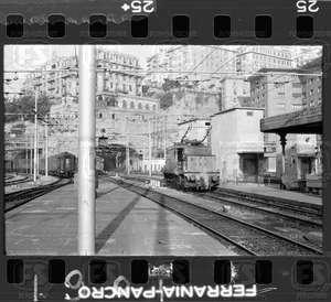 NEG_CDM_1901.tif