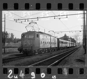 NEG_CDM_2490.tif