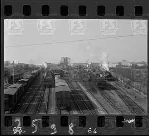 NEG_CDM_2598.tif